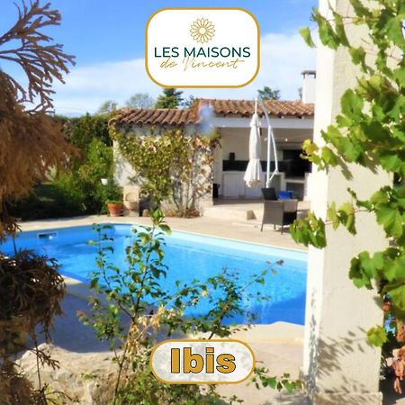 Ibis - Villa Avec Piscine, Jardin Et Parking Arles Exterior photo
