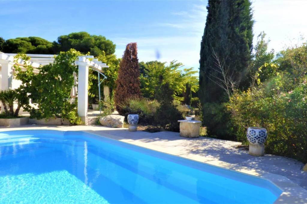 Ibis - Villa Avec Piscine, Jardin Et Parking Arles Exterior photo